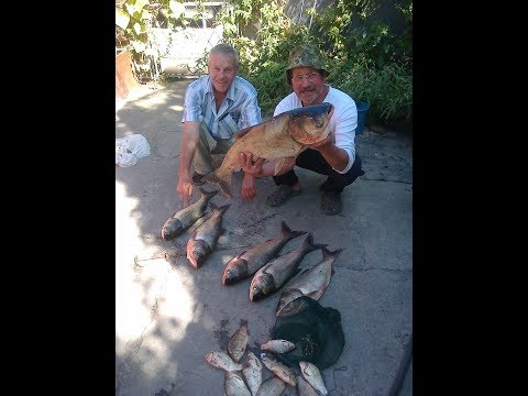 Видео: Толстолобик рыбалка в пригороде Алматы