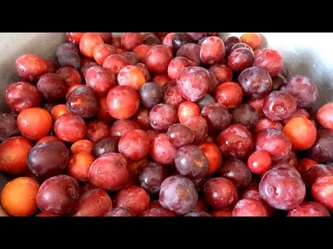 Видео: Джем- Варенье из Алычи без Косточки. Очень Ароматный и Вкусный