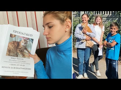Видео: КАК мы ИСКАЛИ и НАШЛИ кота Батона😼