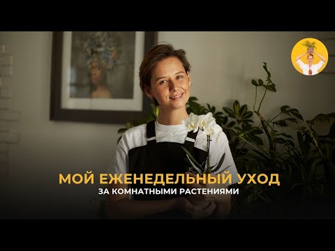 Видео: Мой еженедельный уход за комнатными растениями
