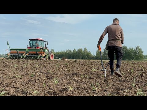 Видео: НАШЛИ МЕДАЛЬ !!! Серебро !!! И царские монеты !!! 