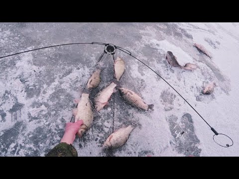 Видео: Шок! Хапуги трещат и не лезут в лунки!