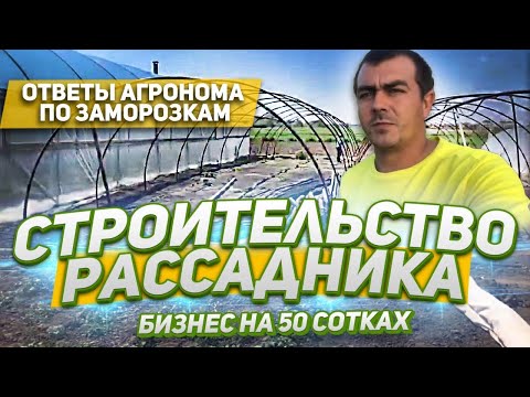 Видео: 39/20Строительство рассадника//беседа с агрономом за клубнику//секреты хорошего урожая