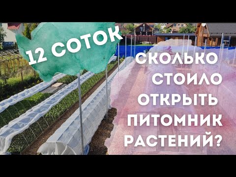 Видео: Питомник растений с нуля.Все расходы первого года.Насколько изменилась смета к концу года?