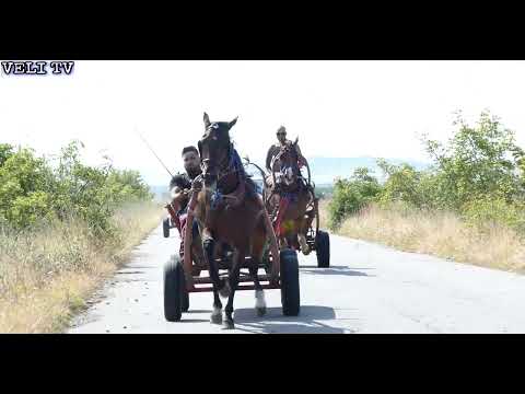 Видео: Състезание с Коне 1-номер-Нури Шампиона