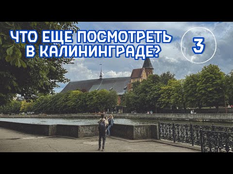 Видео: Кольцо по историческому центру Калининграда: Музей Мирового океана, Нижний пруд, Литовский Ручей