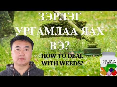 Видео: Зэрлэг ургамлаа яах вэ? How to deal with weeds?