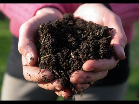 Видео: ЗАПУСКАЕМ АКВАРИУМ НА ЗЕМЛЕ!!!РЕСТАРТ АКВАРИУМА 150л!!!#СИДИМДОМА