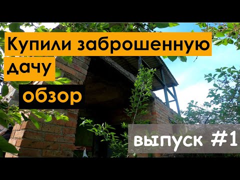 Видео: #1 Купили заброшенную дачу | обзор участка и дома