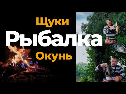 Видео: Отличная рыбалка, Щуки, окунь, костёр, грозовой ливень