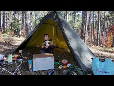 Видео: Одиночный поход в лесу🪵выживание в лесу 🍂 #выживание #кемпинг #на природе #осень #приготовление пищи