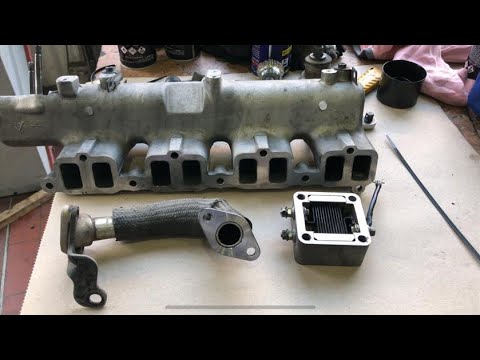 Видео: Hyundai Terracan Чистим впускной коллектор  (ניקוי סעפת יניקה יונדאי טראקן)