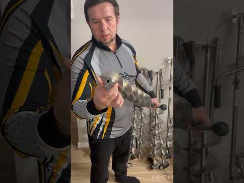 Видео: Выбираем титановый шнек для зимней рыбалки