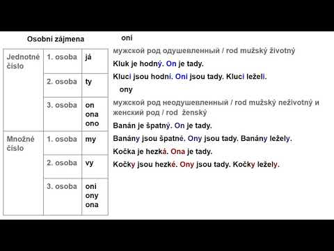 Видео: Чешский Различия в местоимении Они  Čeština Jaký je rozdíl mezi oni, ony a ona