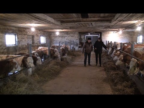 Видео: Семейная ферма