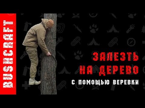 Видео: Как залезть на дерево без веток.