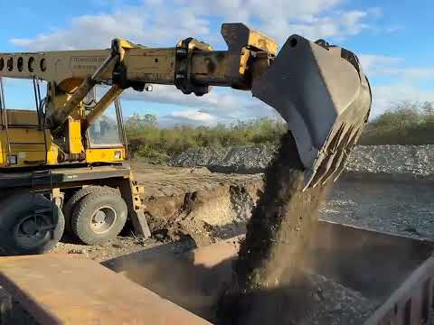 Видео: 5 ноября 2025 г.