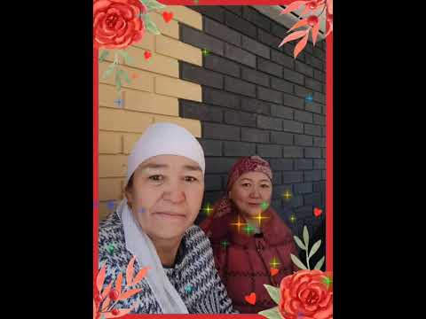 Видео: 6 ноября 2025 г.