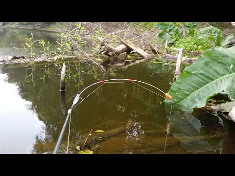 Видео: ЗНАЙШОВ ЛОГОВО КРУПНЯКА В КОРЯЖНИКУ.Рибалка на боковий кивок