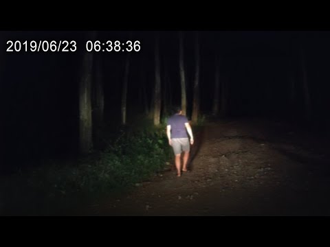 Видео: 30 Самых ЖУТКИХ Встреч в Кемпинге, Снятых на Камеру...