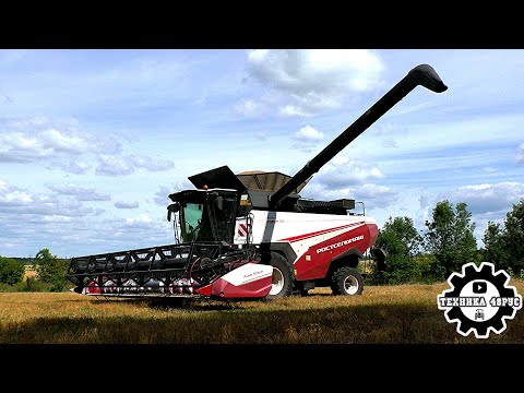 Видео: Комбайн Торум 785 - и один в поле воин! Почти всё в хозяйстве убирает один