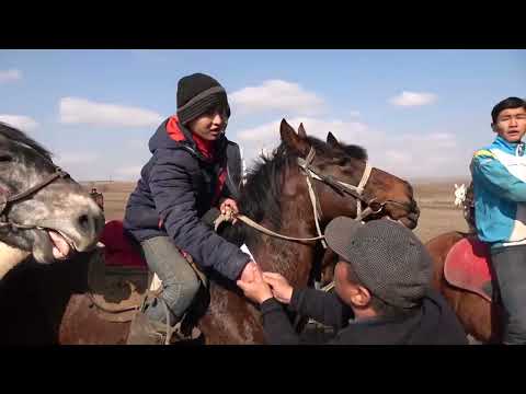 Видео: Сарапхана ауылдық округі Жіңішке  Нұрғали әкесі Еркетай Тлеповтың рухына арналып бата алу көкпары