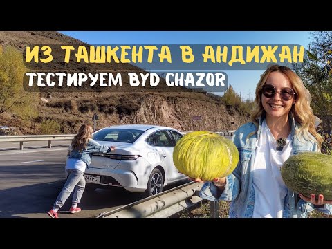 Видео: Из Ташкента в Андижан на BYD CHAZOR. Тестируем гибрид на перевале Камчик.