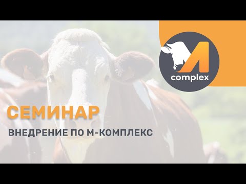 Видео: Внедрение ПО М-комплекс: к чему быть готовым | Семинар М-комплекс