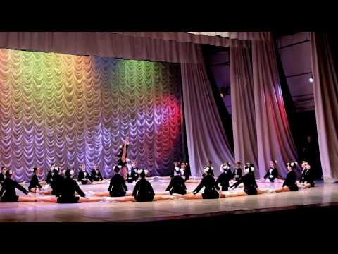 Видео: «Королевские пингвины» Шику Буарки