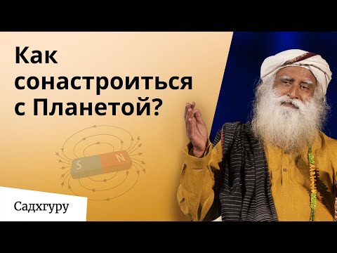 Видео: Наше тело — магнит. Как притянуть здоровье и оттолкнуть аллергию?