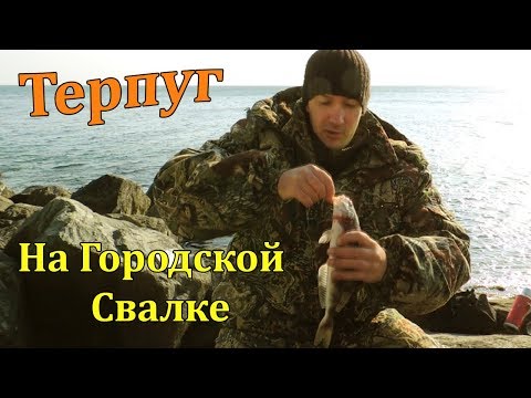 Видео: Рыбалка на Окуня Терпуга на Спиннинг с Берега Уссурийский Залив.