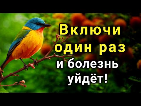 Видео: Слушай ЭТУ дуа один раз и болезни исчезнут навсегда! 🤲💯