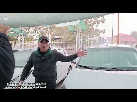 Видео: 7 ноября 2025 г.