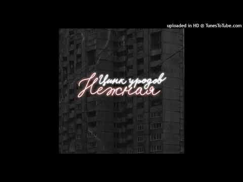 Видео: Цинк Уродов - Нежная (slowed n reverb)