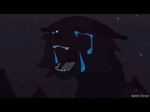 Видео: Сумеречница - ты даже не стоишь моей ненависти