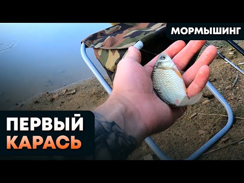 Видео: Первый карась на мормышинг! Ловим карася и не только на DAYO NANO PREDATOR 0,2-2 + DAYO LENA 900