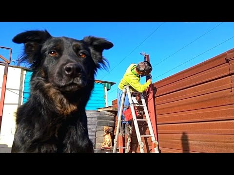 Видео: Последние три столбика, листопад, и собачки! 18 часть БДФ о строительстве навеса в приюте!