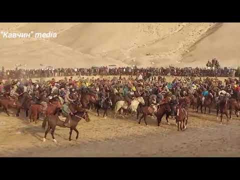 Видео: 🐎бузкаши 09.11.2024 КАБАДИÉН НОХИЯИ