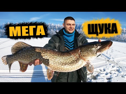 Видео: МЕГАЩУКА на 7 кг || ЗИМНЯЯ РЫБАЛКА ИВАНЬКОВСКОЕ водохранилище || СТАВИМ ЖЕРЛИЦЫ на ЩУКУ