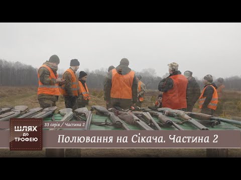 Видео: Полювання на Cікача. 2 серія (Сарни) | Шлях до Трофею №33