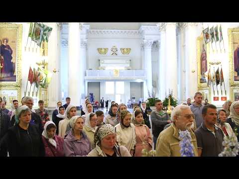 Видео: О званных на пир и о хитреце, который туда пролез