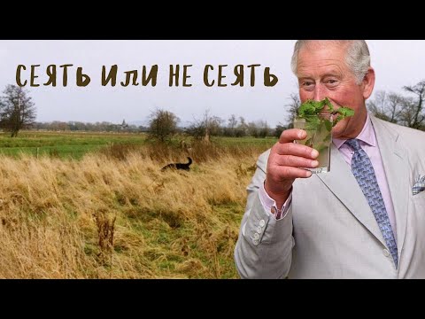 Видео: Челси 2025  новая генерация