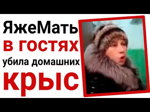 Видео: Яжемать в гостях убила домашних мышей