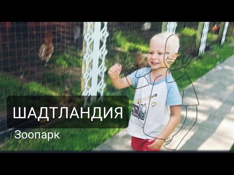 Видео: БЕСПЛАТНЫЙ ЗООПАРК В МОСКОВСКОЙ ОБЛАСТИ ДЛЯ ВСЕХ