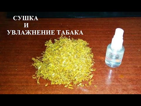 Видео: Сушка и увлажнение табака - для чего сушат и увлажняют табак перед забивкой гильз