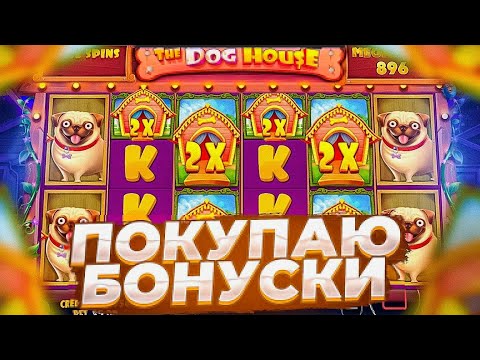 Видео: ЗАКУПАЮ ЖЕСТКИЕ БОНУСКИ НА СЛОТЕ THE DOG HOUSE MEGAWAYS / ТОПОВЫЙ ЗАНОС #промокод #slot