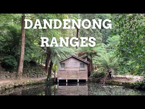 Видео: 6 лучших бесплатных развлечений в горах Данденонг