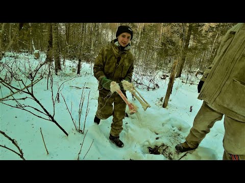 Видео: ПРИШЛИ ТИГРЫ И СОЖРАЛИ НАШЕ МЯСО.