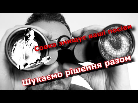 Видео: Озима совка знищує ваші посіви?! Шукаємо рішення разом!