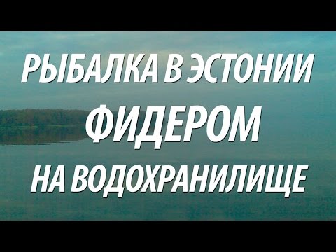 Видео: РЫБАЛКА С НОРМУНДОМ ГРАБОВСКИСОМ НА ФИДЕР В ЭСТОНИИ НА ВОДОХРАНИЛИЩЕ